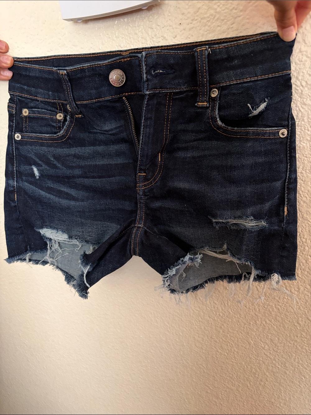 American Eagle Outfitters Distressed Shorts